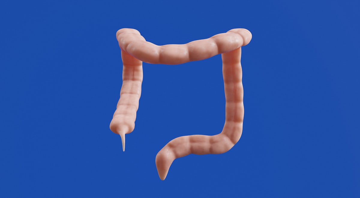 Stress management for gut health