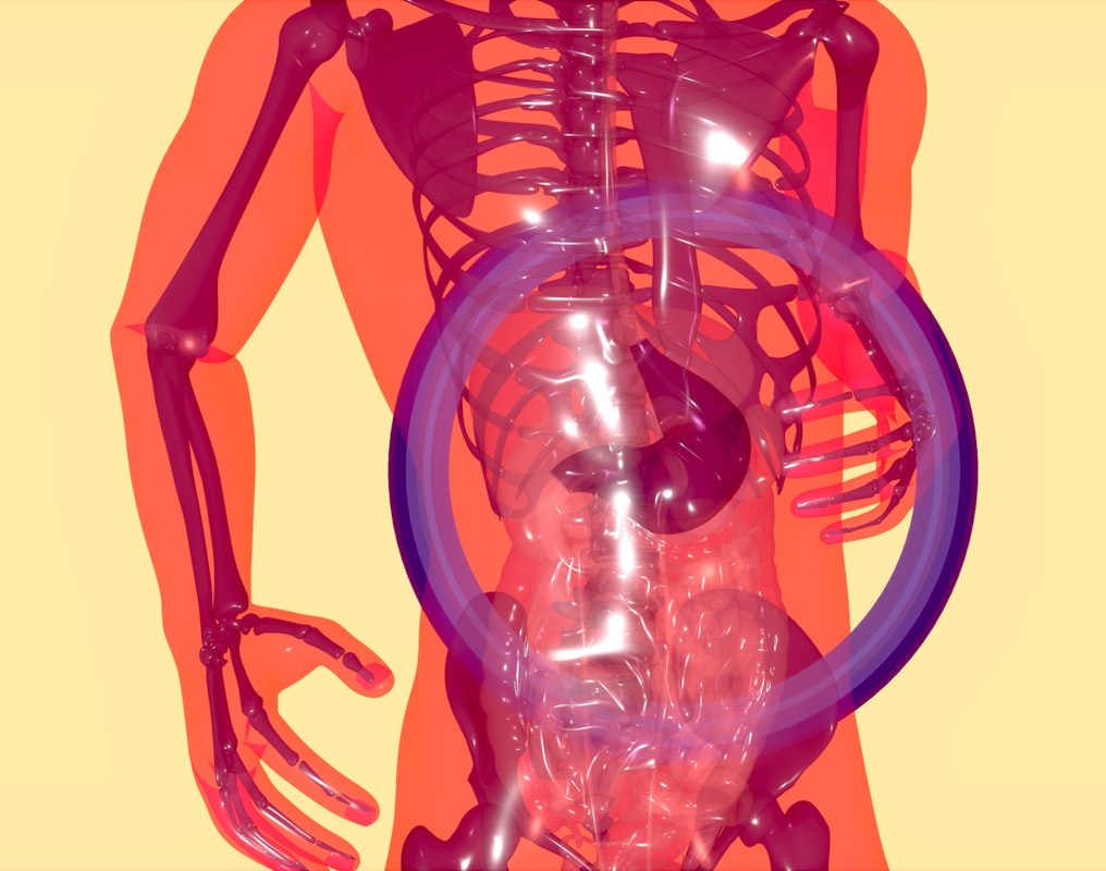 Understanding digestive enzymes